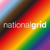National Grid USA Service Company, Inc. logo